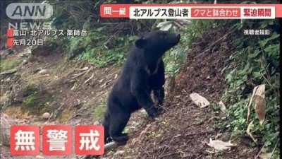 北アルプス登山者、クマと鉢合わせ緊迫瞬間　至近距離でも無警戒　冷蔵庫あさる被害も【羽鳥慎一モーニングショー】(2024年9月3日)