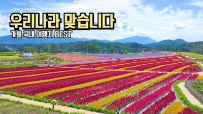 10월 국내 여행 추천 우리나라 맞아? 아름다운 가을 여행 명소 추천 BEST #국내여행 #여행추천