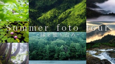 【2023年夏の撮影ツアーのお知らせ】志賀高原や火山が生んだ原生林を堪能