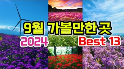 2024 9월에 가면 좋은 국내여행지 추천 BEST 13, 상림공원, 용궐산, 삼성궁, 소금산 그랜드밸리, 파도소리길, 스페이스워크, y자출렁다리, 내연산계곡, 선운사, 봉평메밀