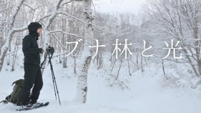 【自然写真】真っ白なブナ林に差し込む光｜GFX50Sll forest photography