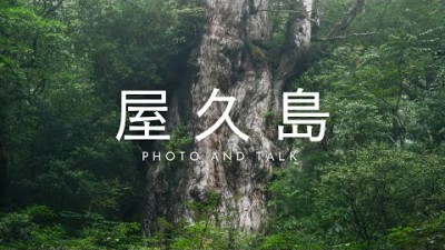 【自然写真】屋久島・花崗岩と苔の上に生きるもの/写真とトーク