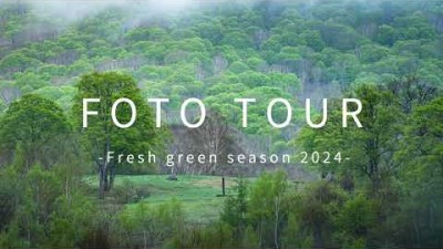 【2024】新緑の撮影ワークショップのご案内