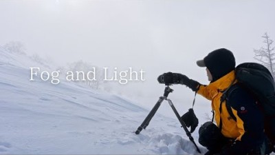 【風景写真】濃霧と木々の物語・光を待つ最高の時間｜Fujifilm GFX50SII landscape photography japan