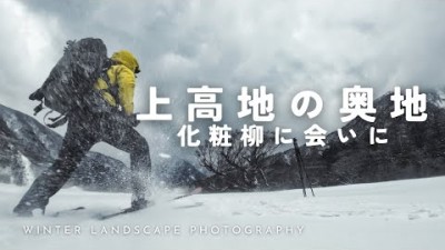 【自然写真】上高地の奥地・一本の化粧柳に会いに